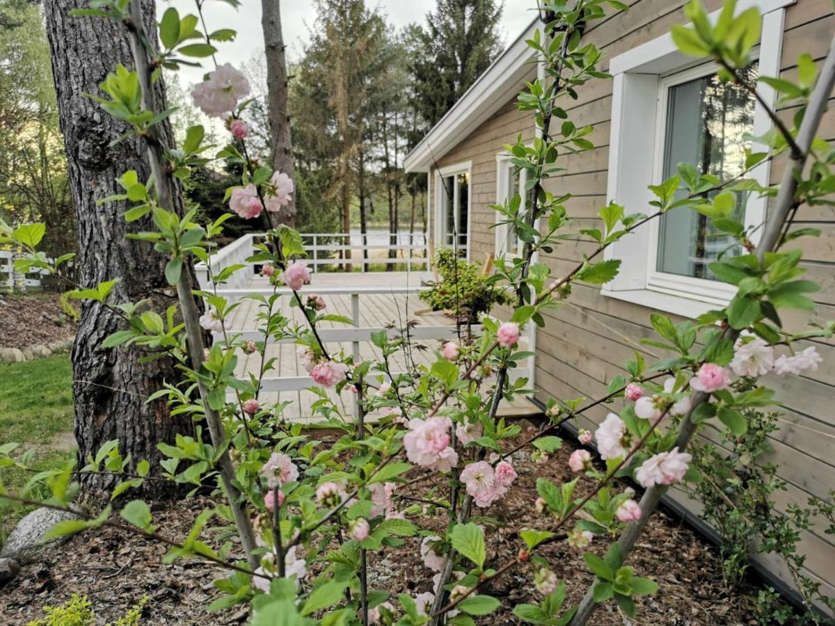 Sosnowy Azyl Villa Вагликовице Екстериор снимка