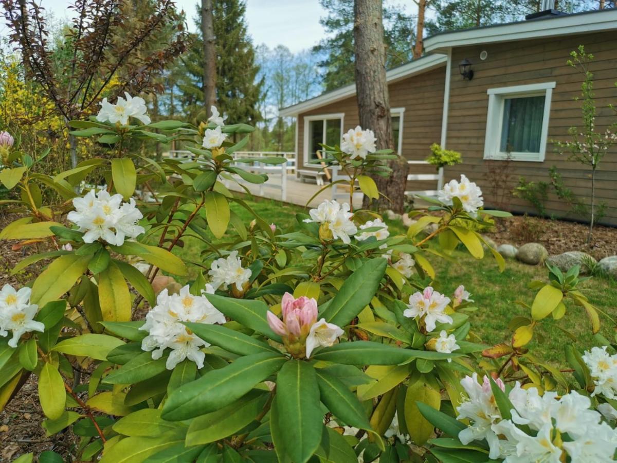 Sosnowy Azyl Villa Вагликовице Екстериор снимка