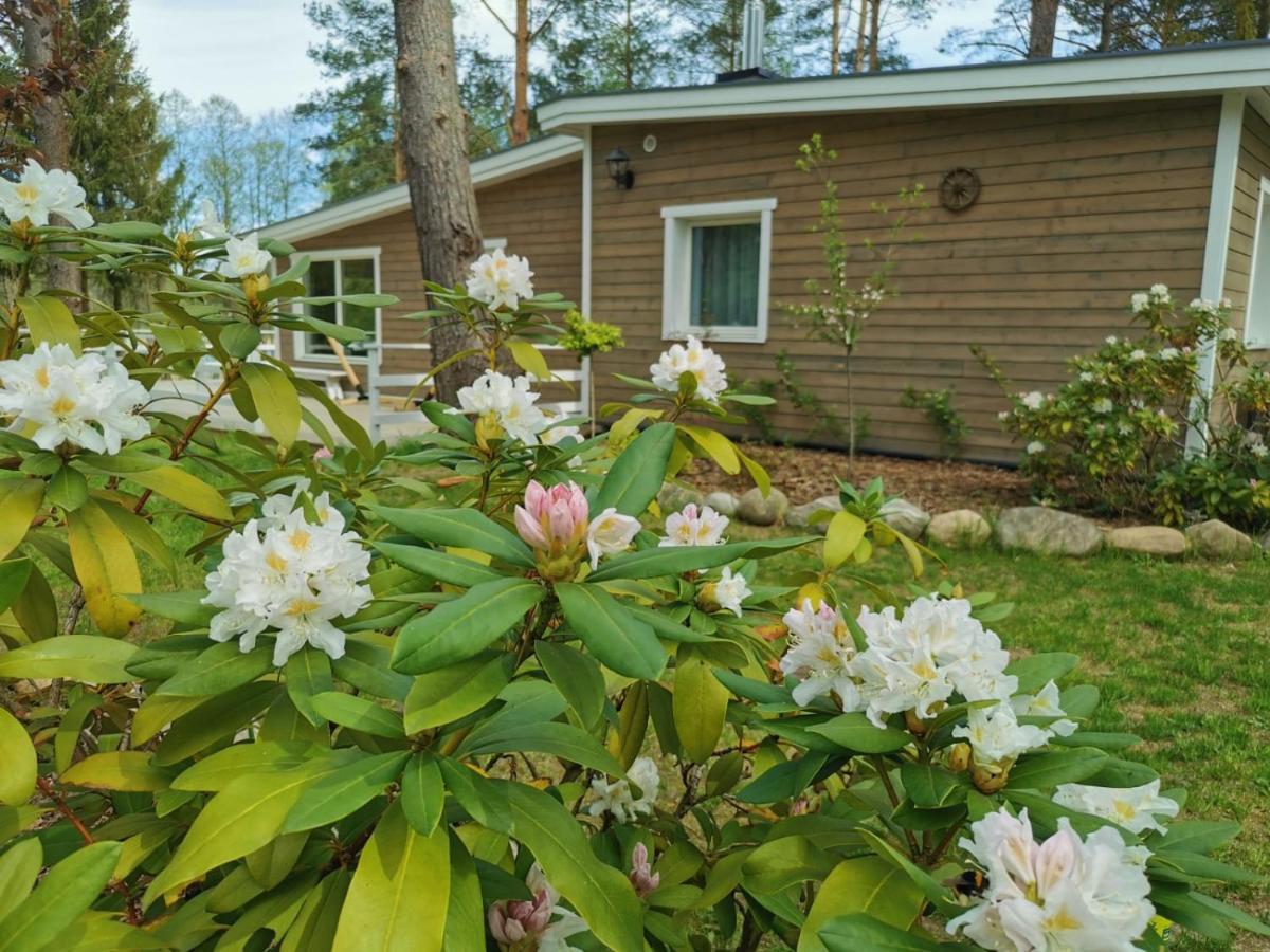 Sosnowy Azyl Villa Вагликовице Екстериор снимка