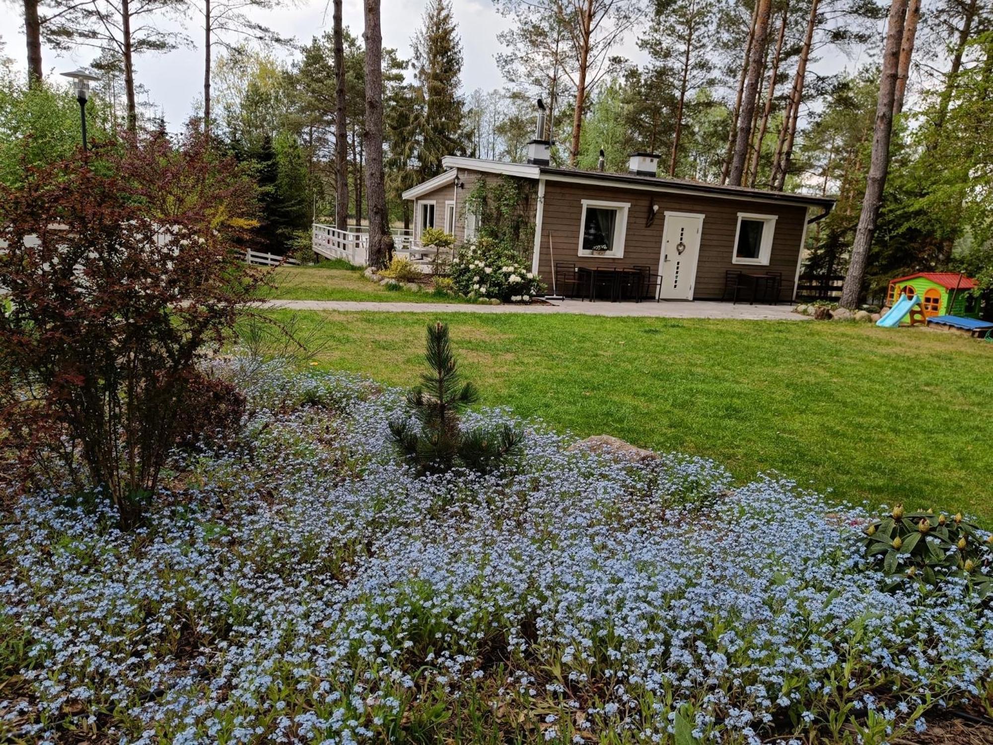 Sosnowy Azyl Villa Вагликовице Екстериор снимка