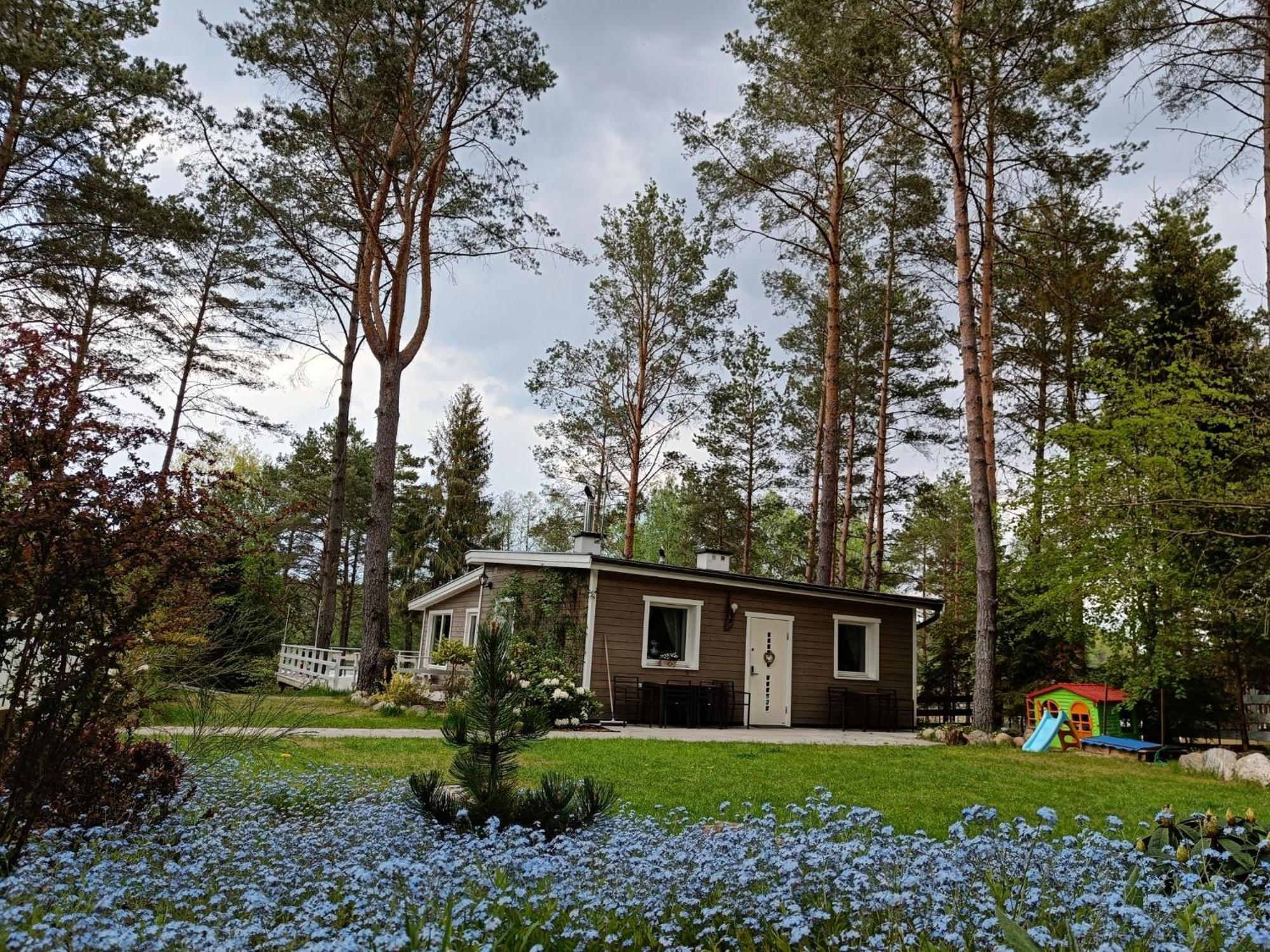 Sosnowy Azyl Villa Вагликовице Екстериор снимка
