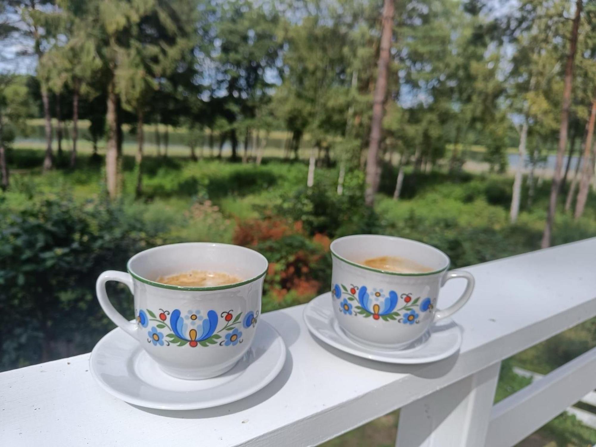 Sosnowy Azyl Villa Вагликовице Екстериор снимка