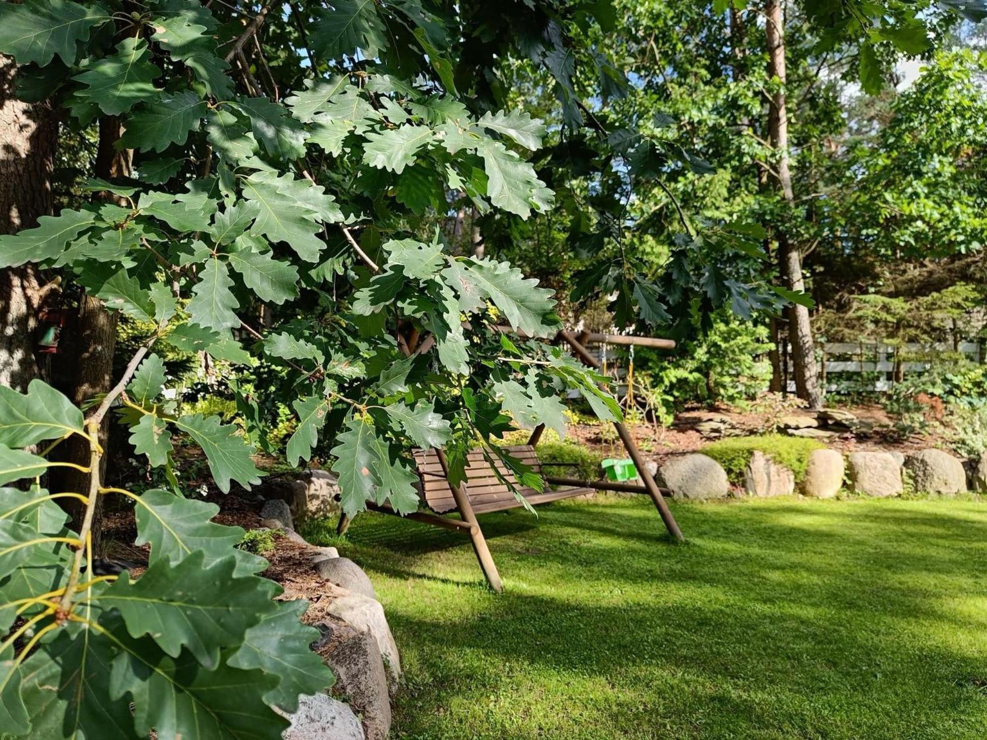 Sosnowy Azyl Villa Вагликовице Екстериор снимка