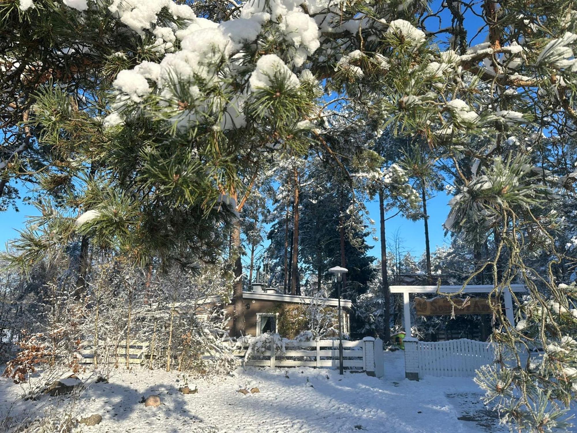 Sosnowy Azyl Villa Вагликовице Екстериор снимка